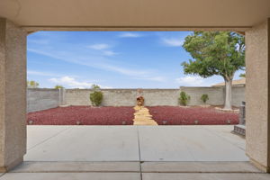 Back Patio