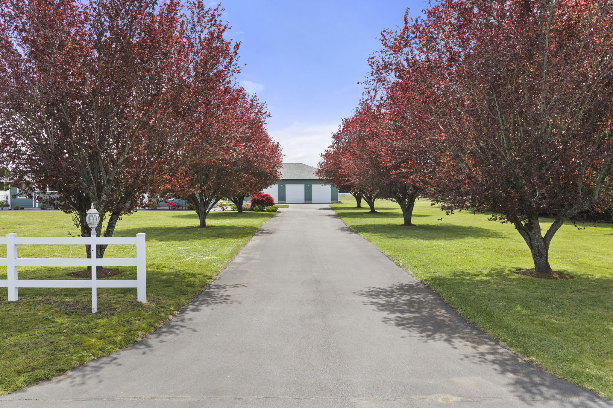 Tree-lined driveway with mature maples offers a stunning entrance