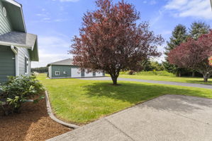 Custom curbing accents the front entry and boosts curb appeal