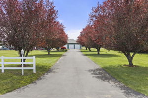 Tree-lined driveway with mature maples offers a stunning entrance