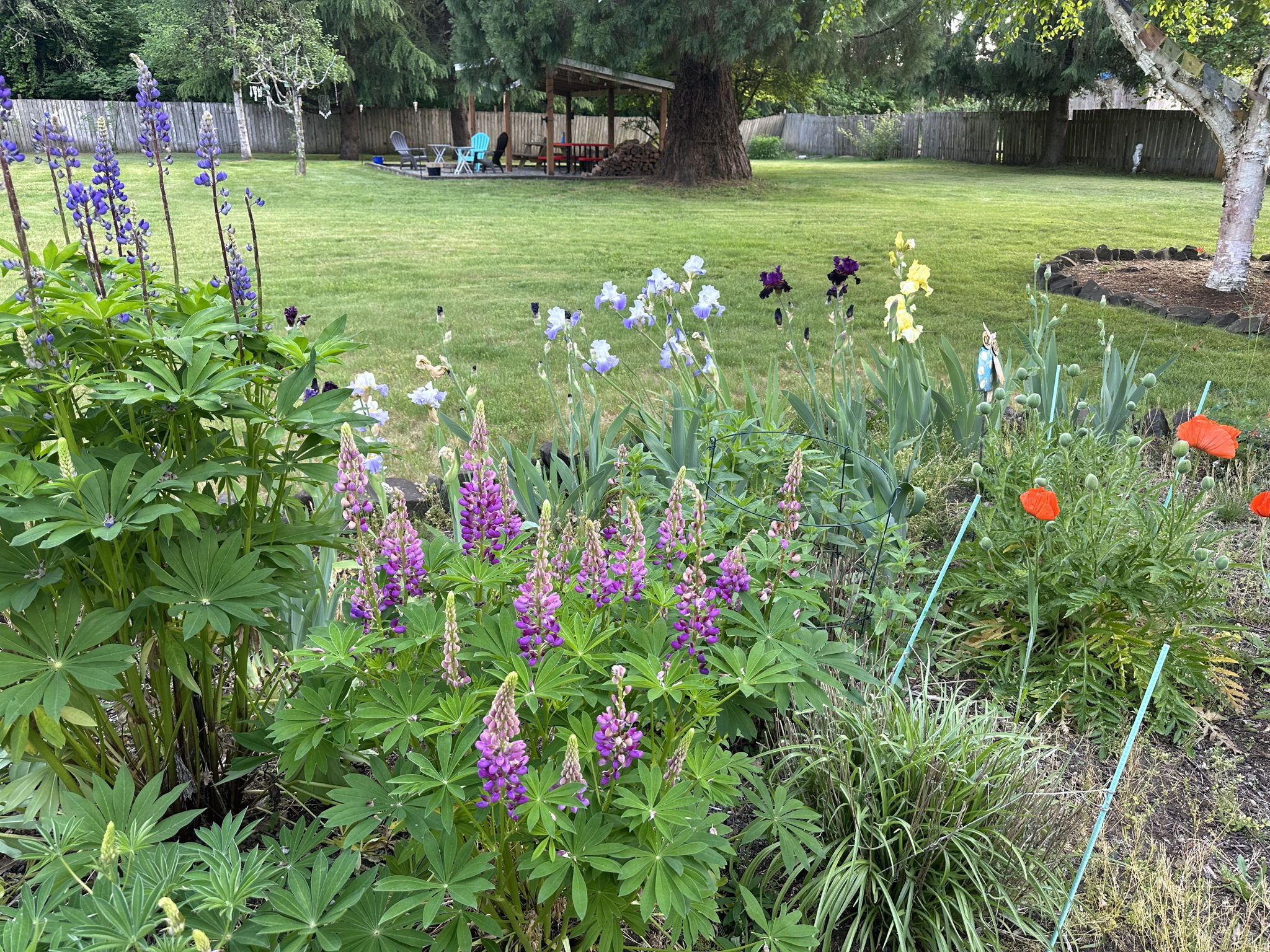 More gorgeous perennial gardens.