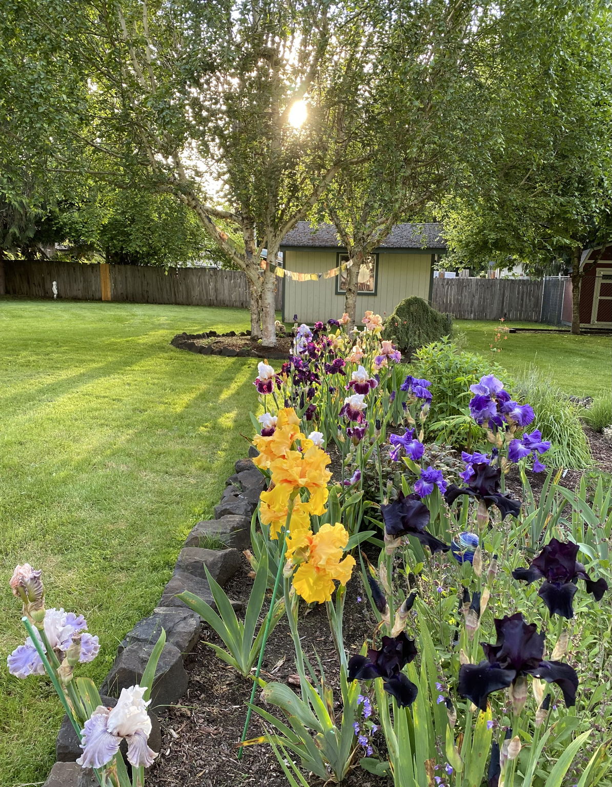 Gorgeous perennial gardens.