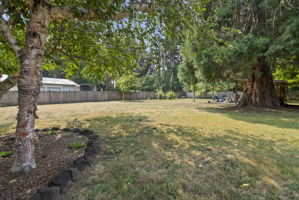Privacy, and outdoor gathering spaces create your own backyard retreat.