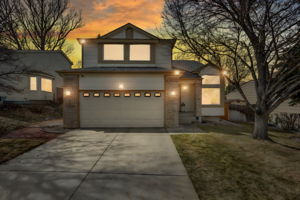 252A4050 - Day To Dusk - Golden - 0