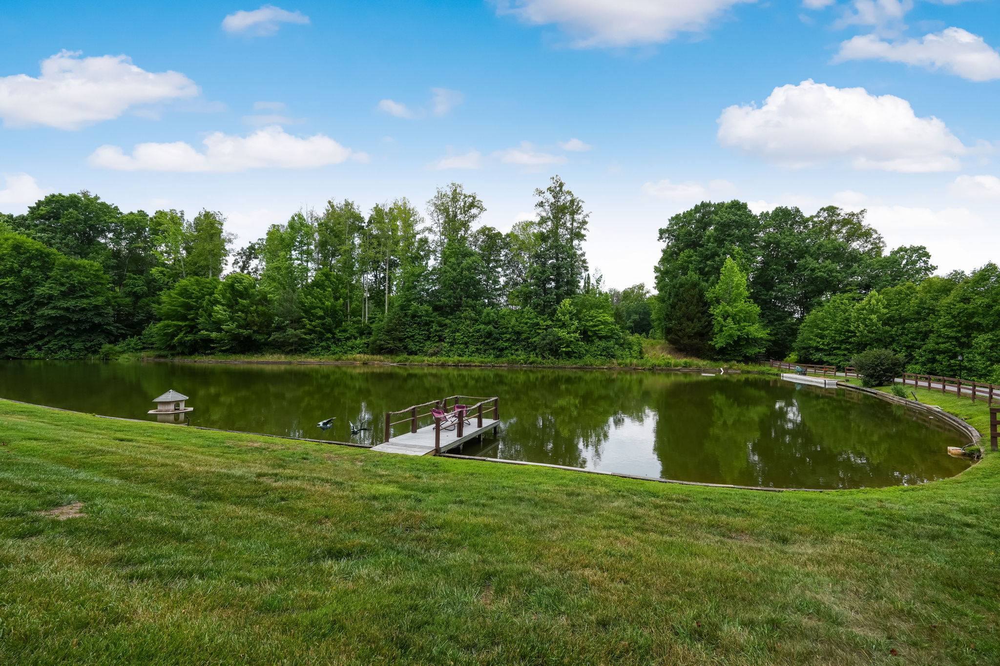 Pond