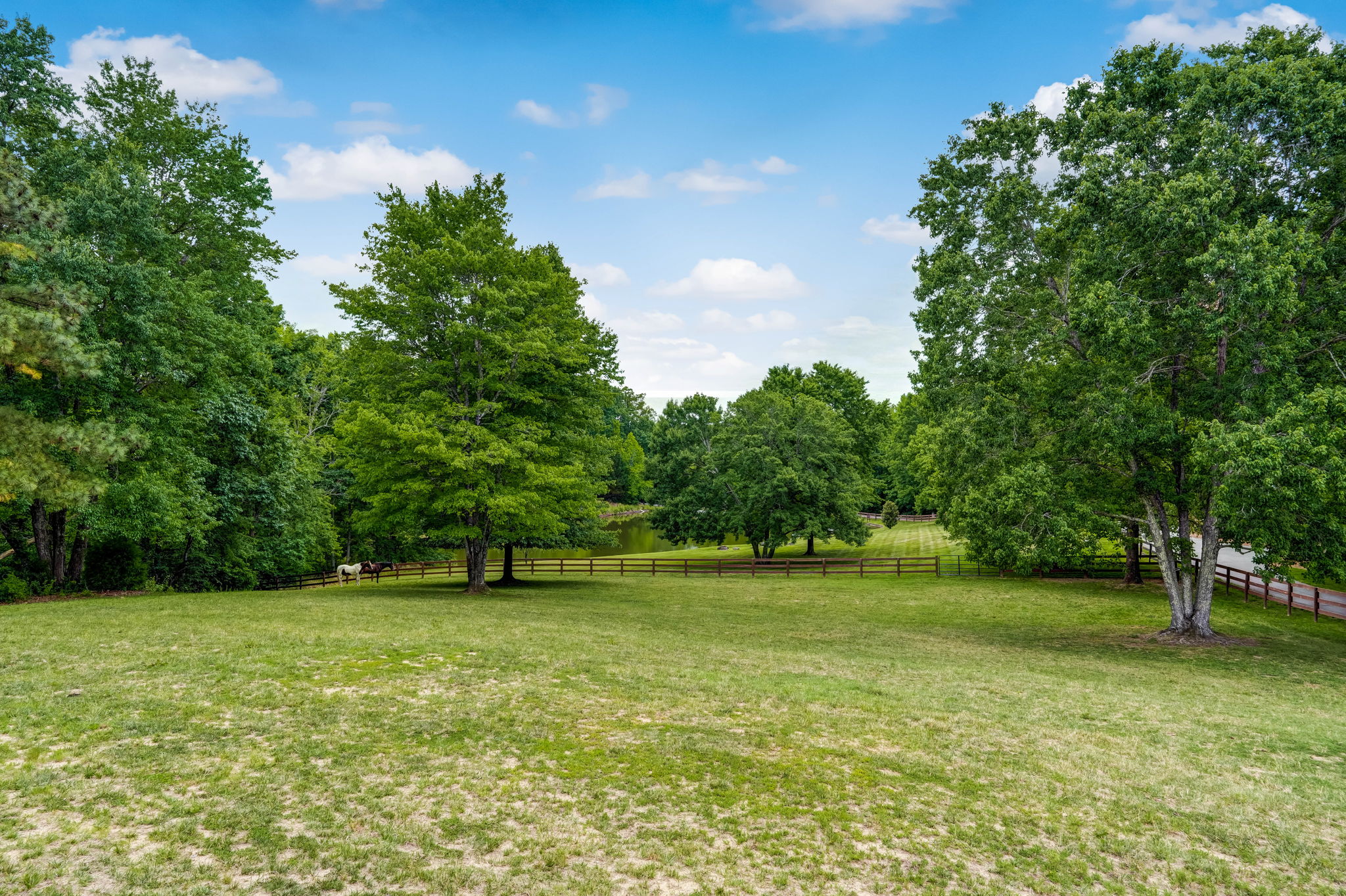 Pasture - Field