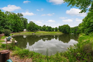 Pond