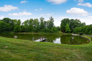 Pond