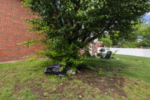  Photo 34