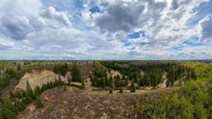  Photo 47