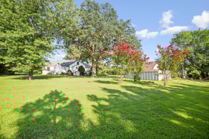 6D8A3825.jpg