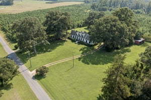 DJI_0619.jpg