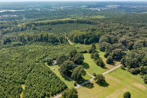 DJI_0630.jpg