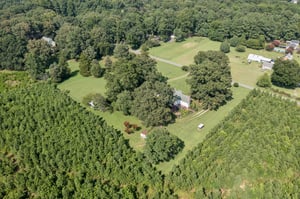 DJI_0642.jpg