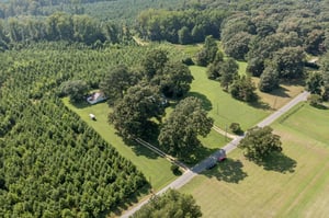 DJI_0644.jpg