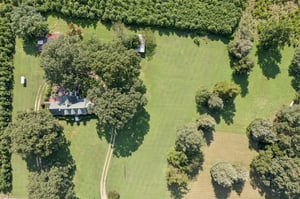 DJI_0655.jpg