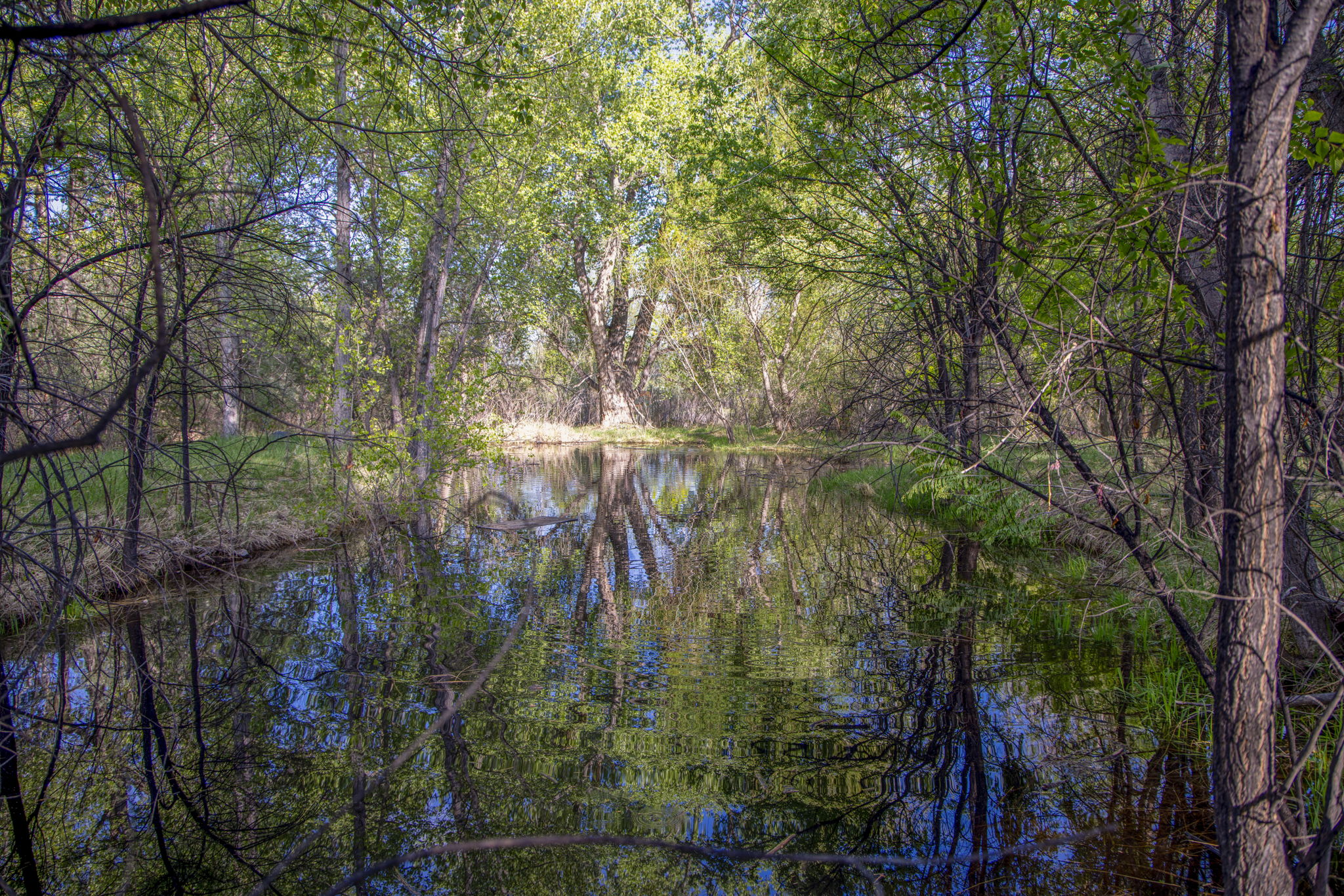  Photo 50
