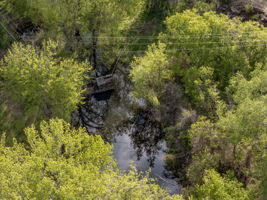  Photo 47