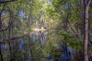  Photo 49