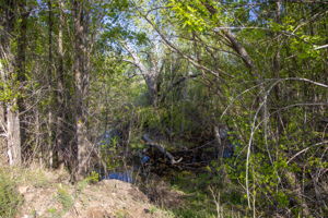  Photo 51
