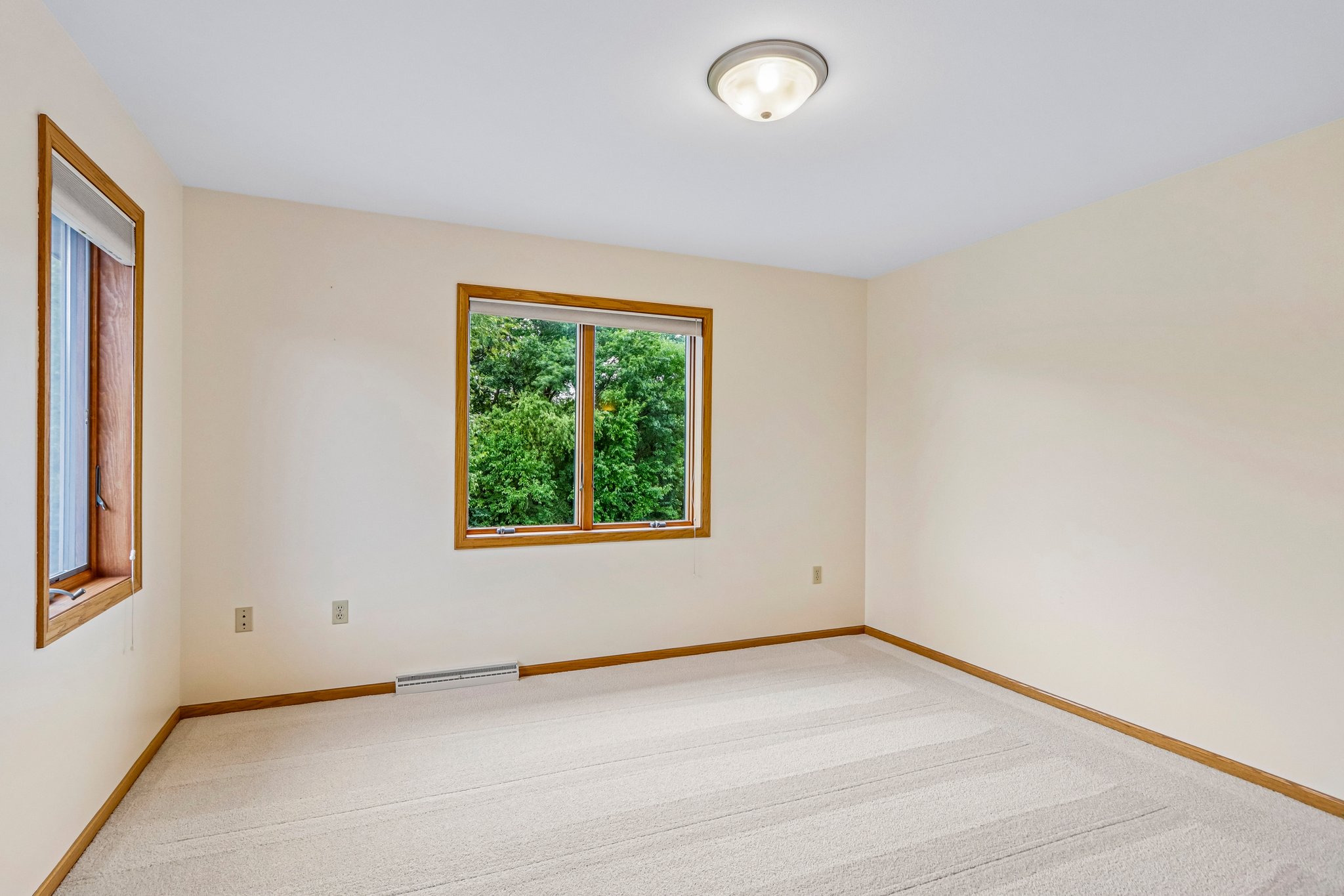 Meadowrue Cir-S1509-036.jpg
