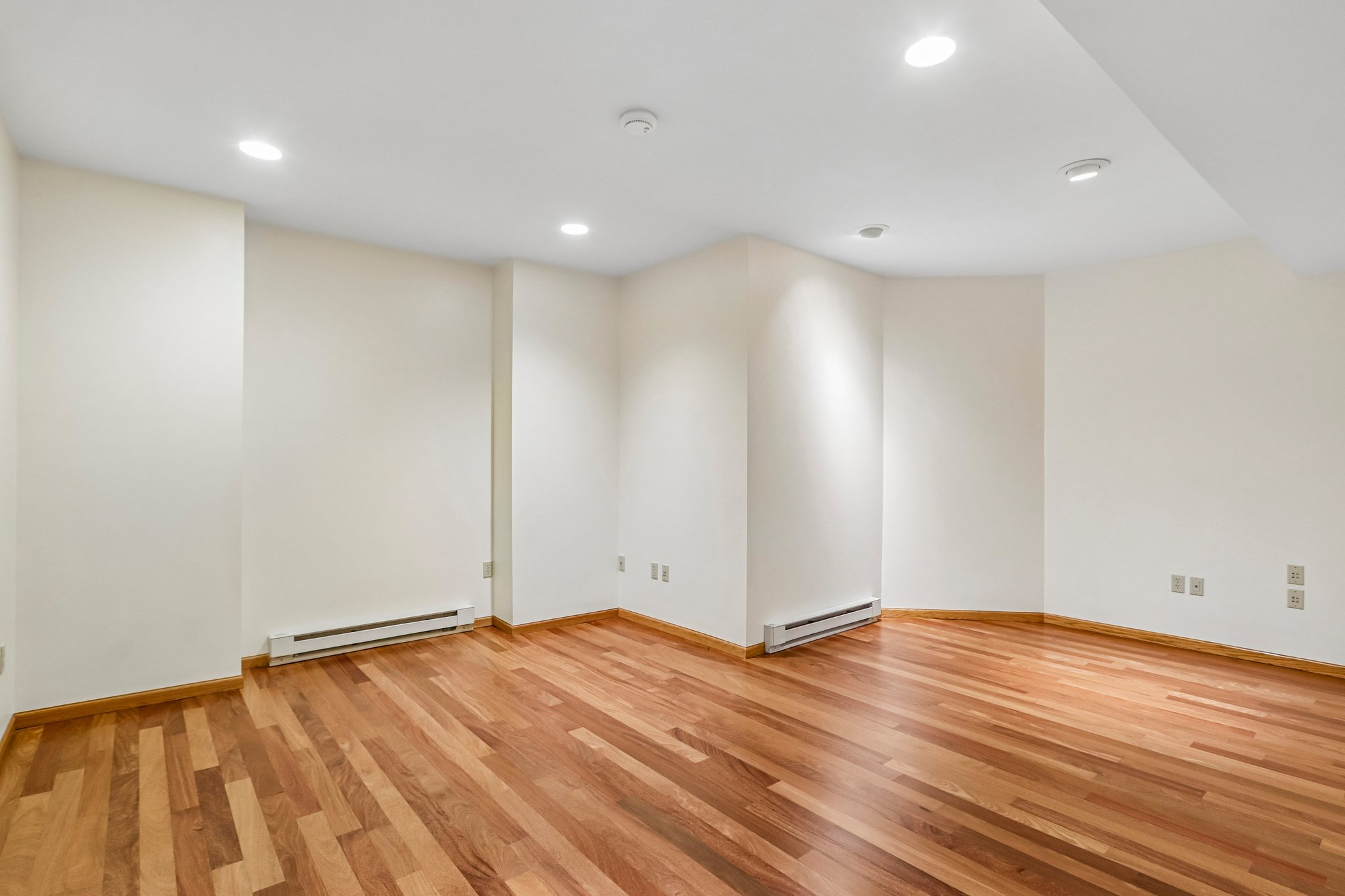 Meadowrue Cir-S1509-049.jpg