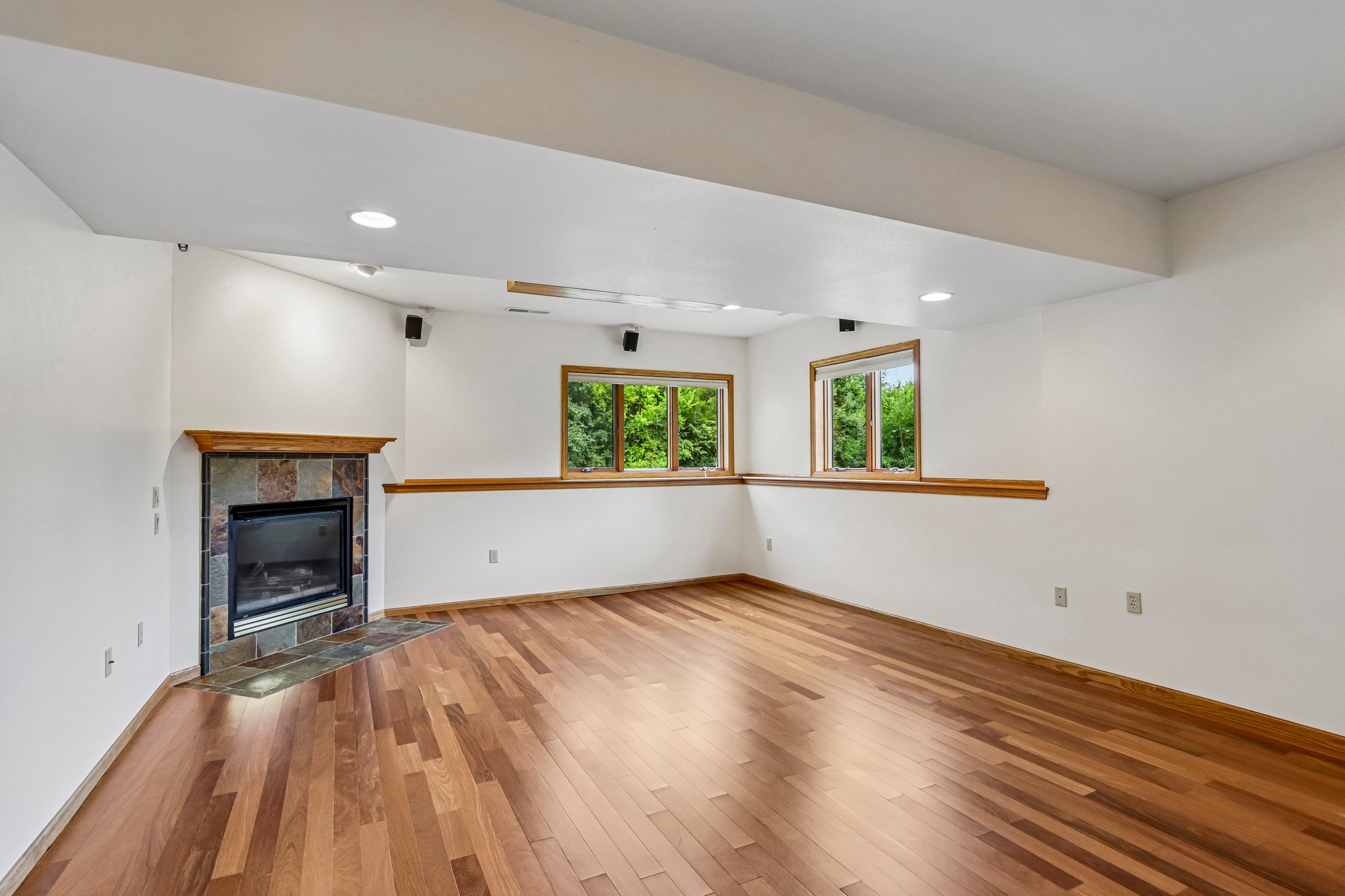 Meadowrue Cir-S1509-051.jpg