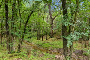 748Chinn_070