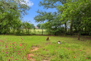 748Chinn_071
