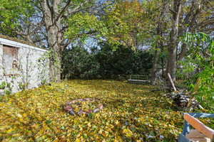 Elma St-S1211-030.jpg