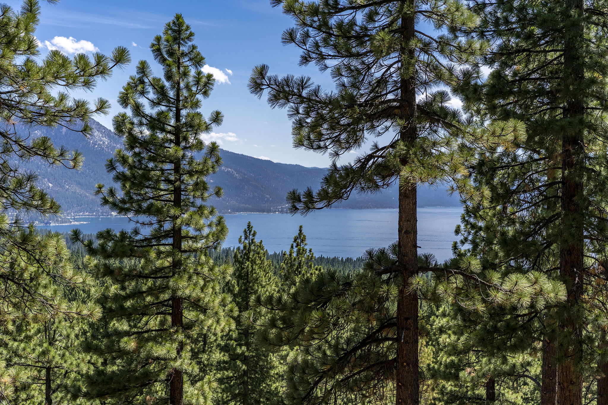 Lake Tahoe Views