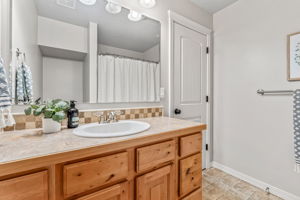 Guest Bath 2