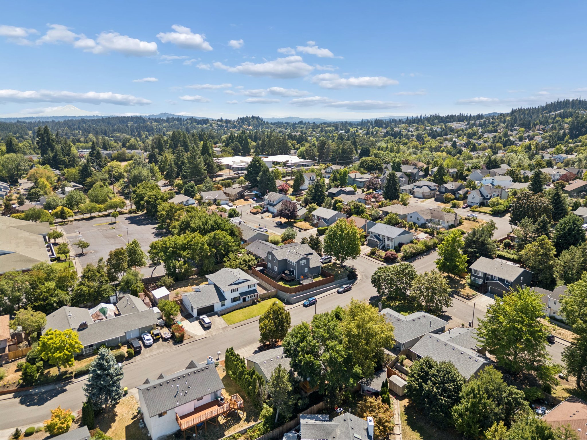 145.jpg