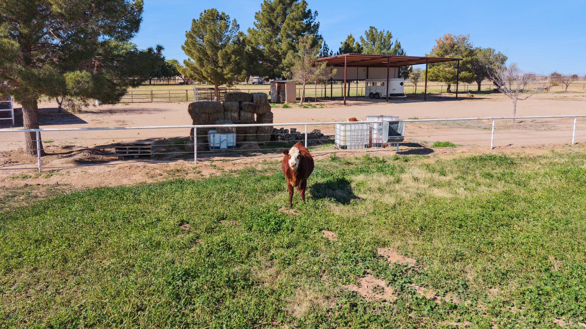 7496 S Linda Lou Rd - 059.jpg