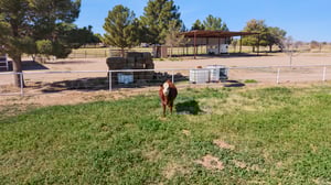 7496 S Linda Lou Rd - 059.jpg