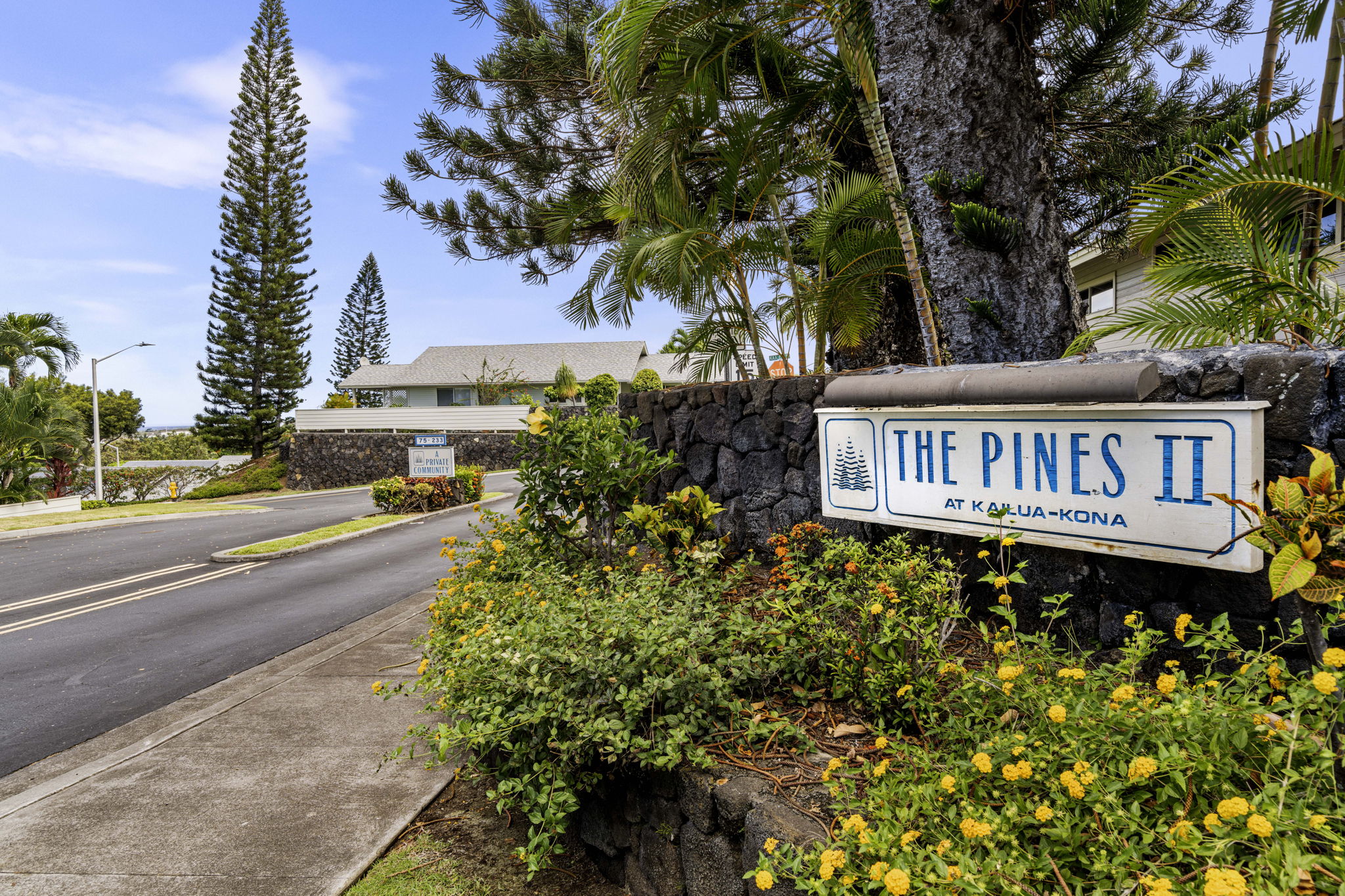 Pines Gate 1