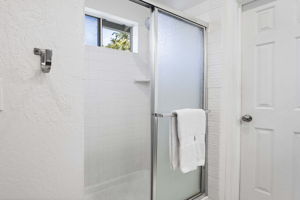 Primary Bathroom Shower a