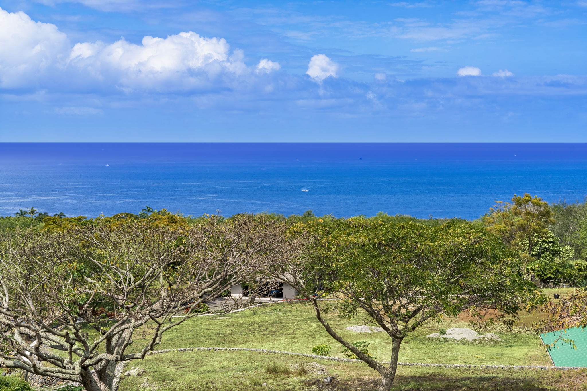 Ocean Views