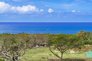 Ocean Views