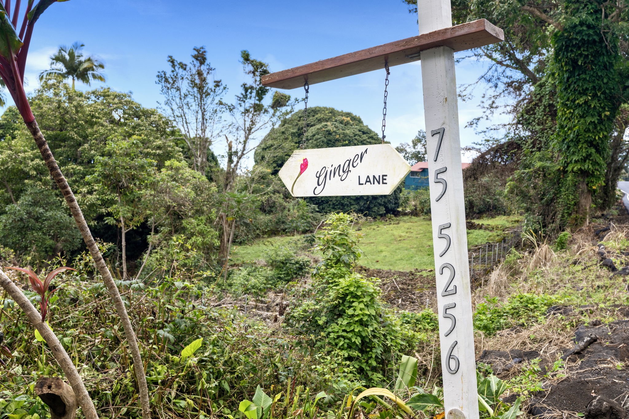 Ginger Lane