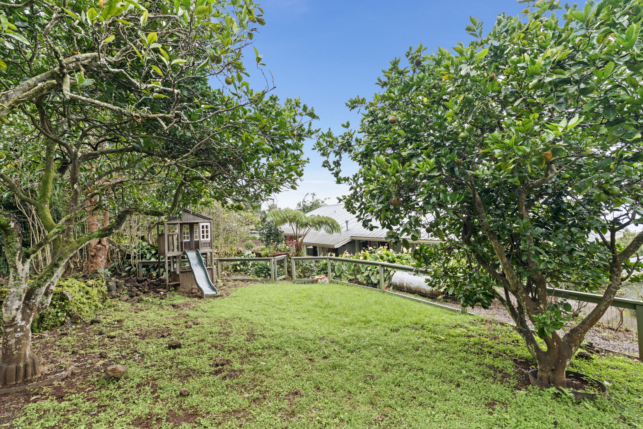 Play Yard c