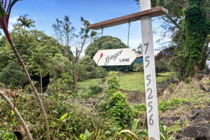 Ginger Lane