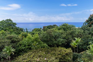 Ocean View 1