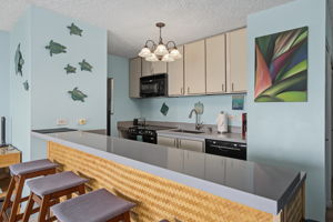 Fully appointed kitchen.