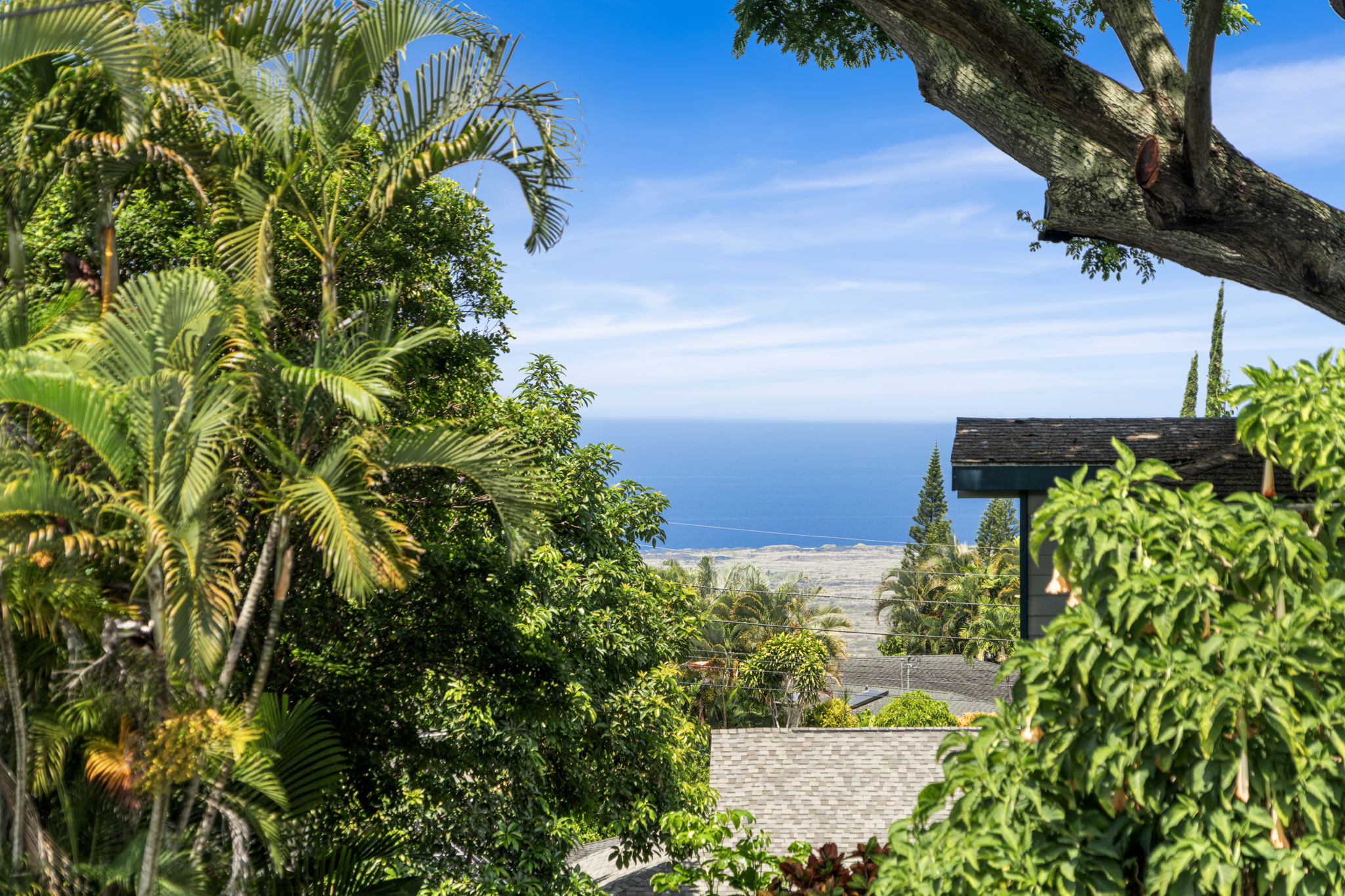 Ocean Views 2