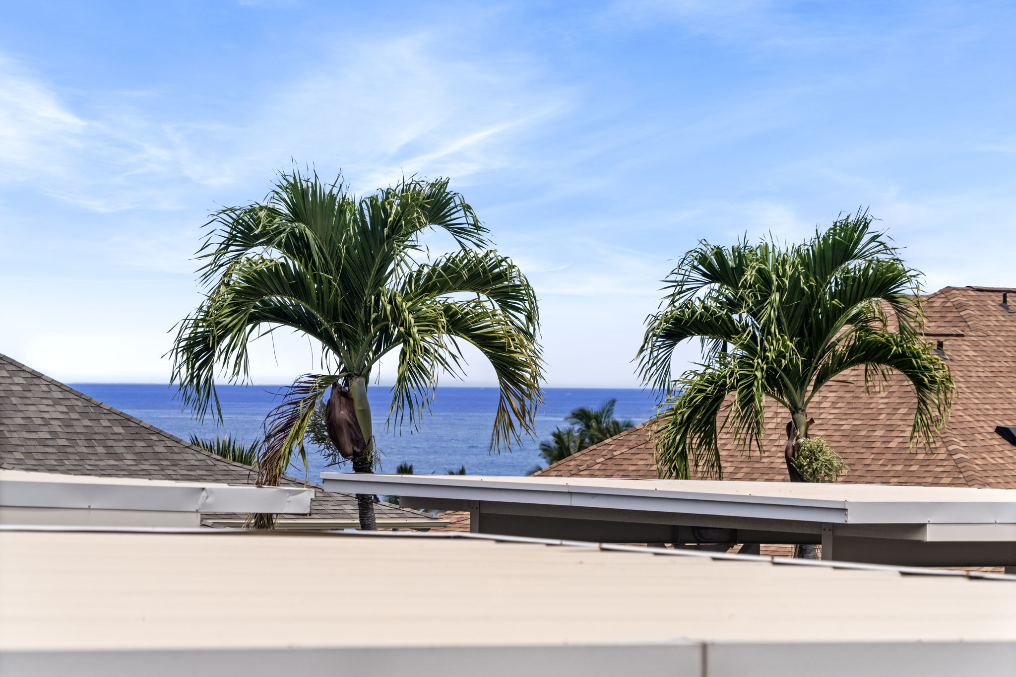 Ocean View 2