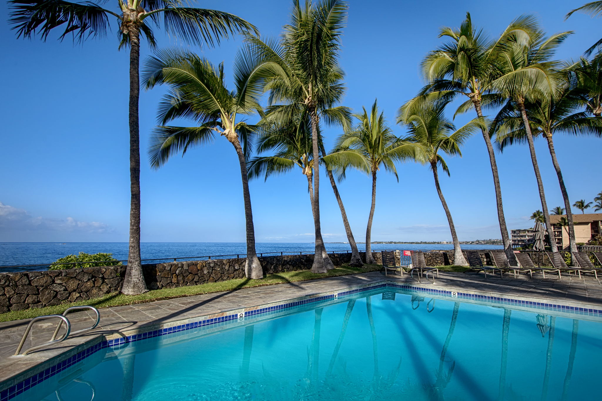 Main Pool Oceanfront