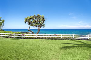 Ocean Views 1