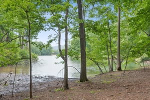 Local_Flavor_Films-75_Canada_Geese_Point_Big_Canoe_GA-406.jpg