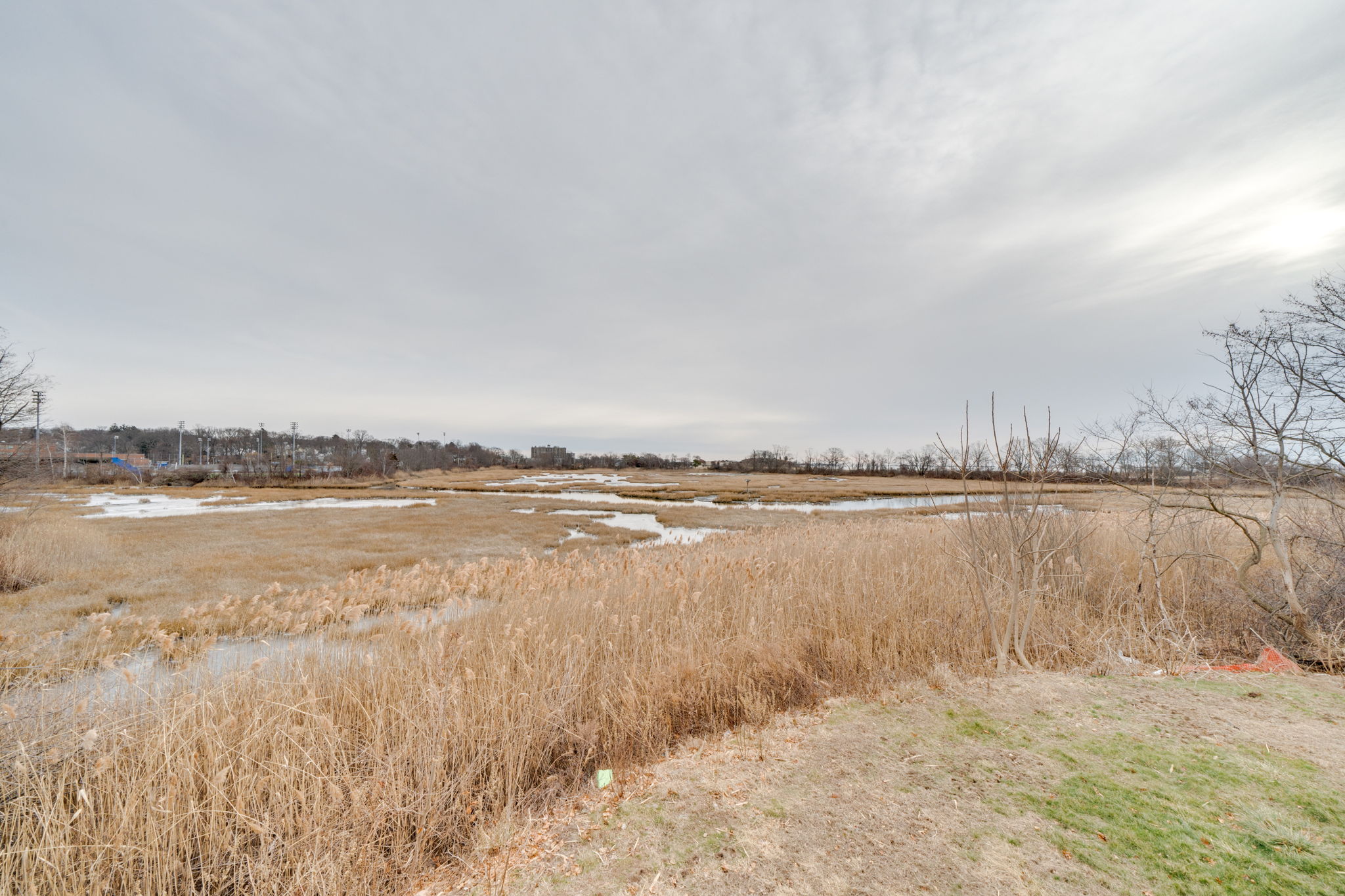  75 Platt Ave, West Haven, CT 06516, US Photo 75